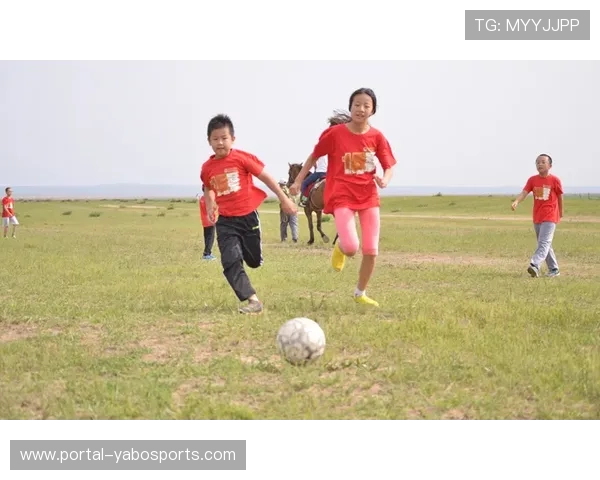 社区拳击体验活动增多,青少年拳击夏令营受欢迎